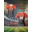 Customizable Women's V-Neck Football Jersey - Personalized Name & Number, Breathable Polyester, Orange & Gray Retro Design for Team Sports, Training, and Casual Wear